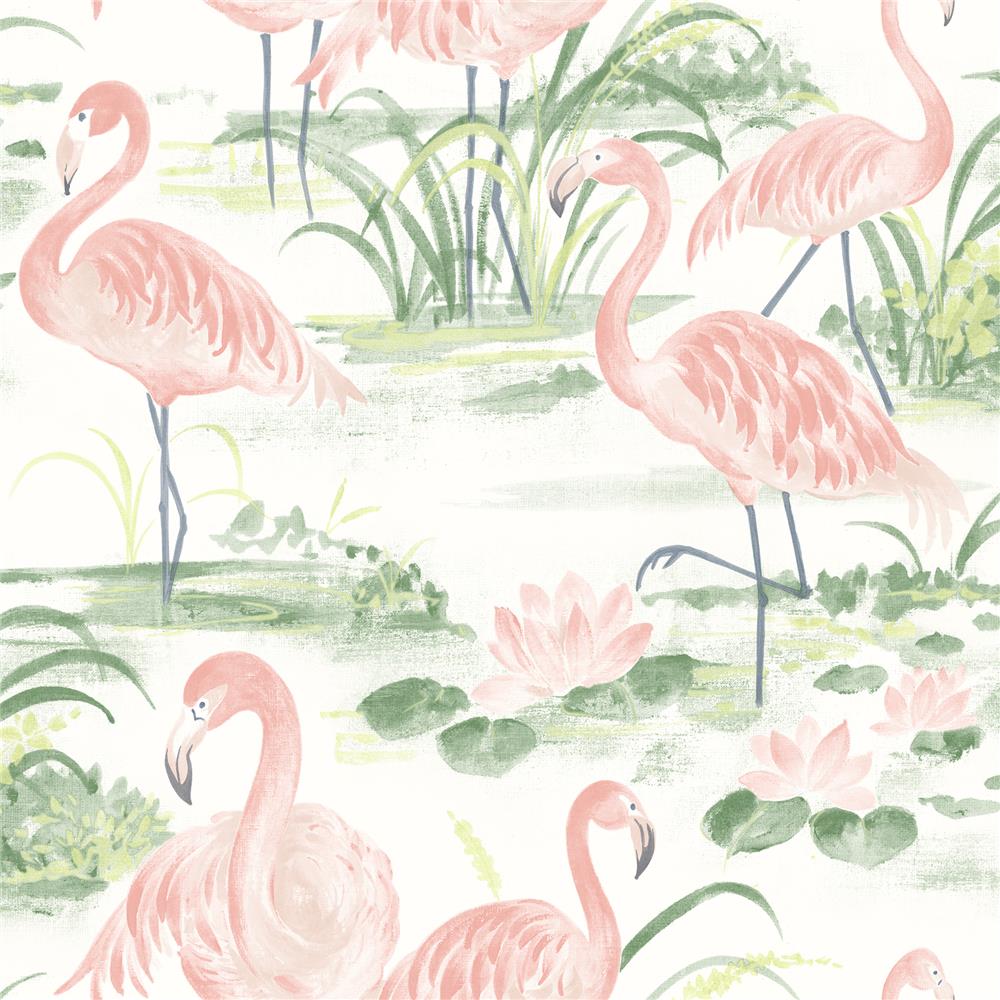 Chesapeake by Brewster 3120-13601 Sanibel Everglades Coral Flamingos Wallpaper