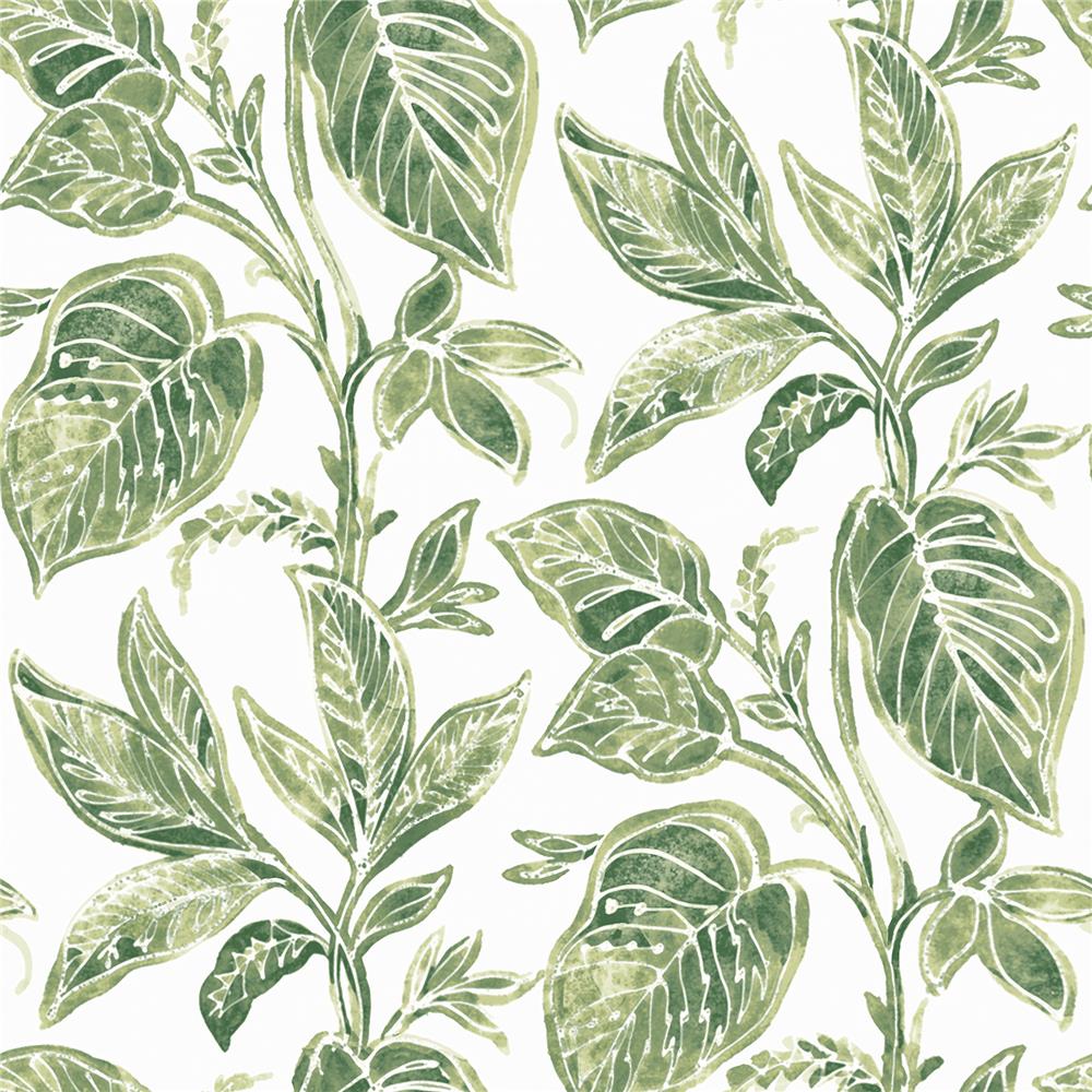 Chesapeake by Brewster 3120-13621 Sanibel Mangrove Green Botanical Wallpaper