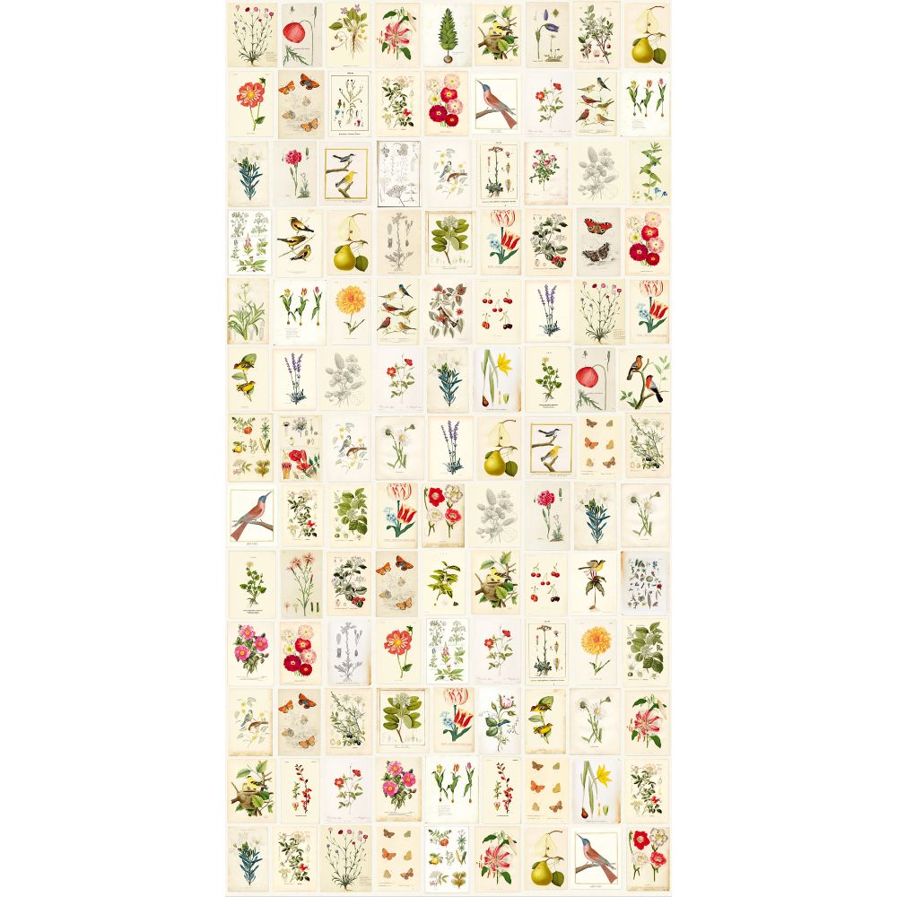 Eijffinger by Brewster 341086 Pip III Botanical Paper Mural Wallpaper in Multicolored Color