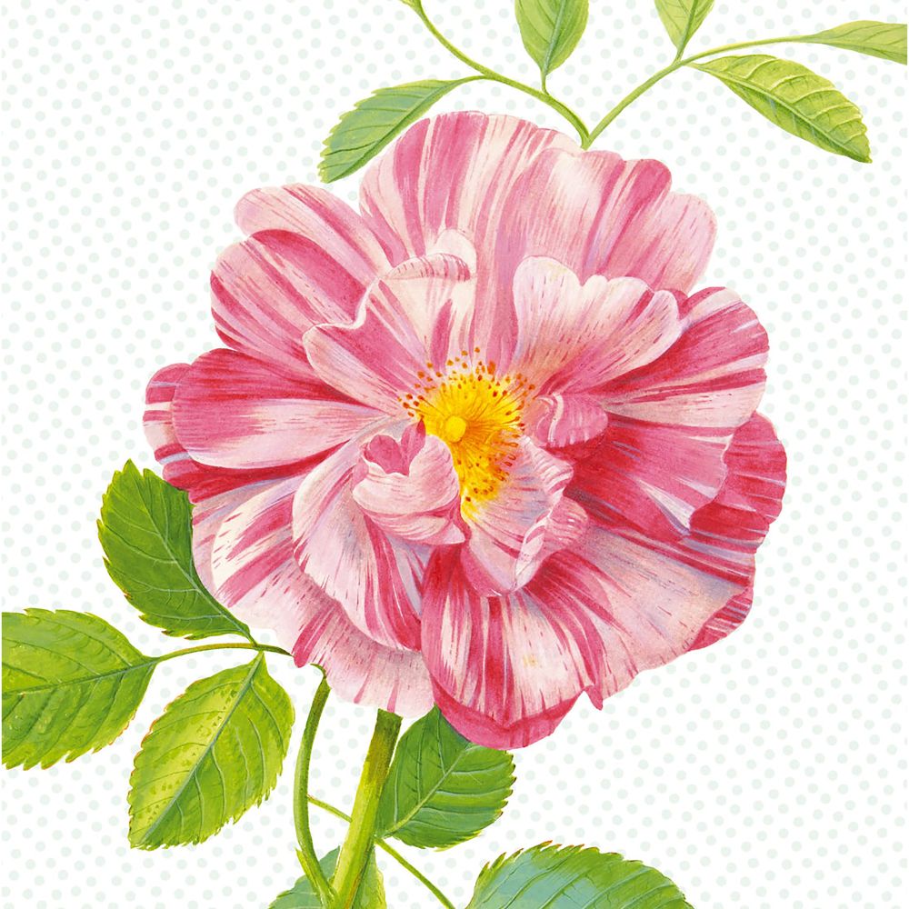 Eijffinger by Brewster 359158 Peony Wall Mural
