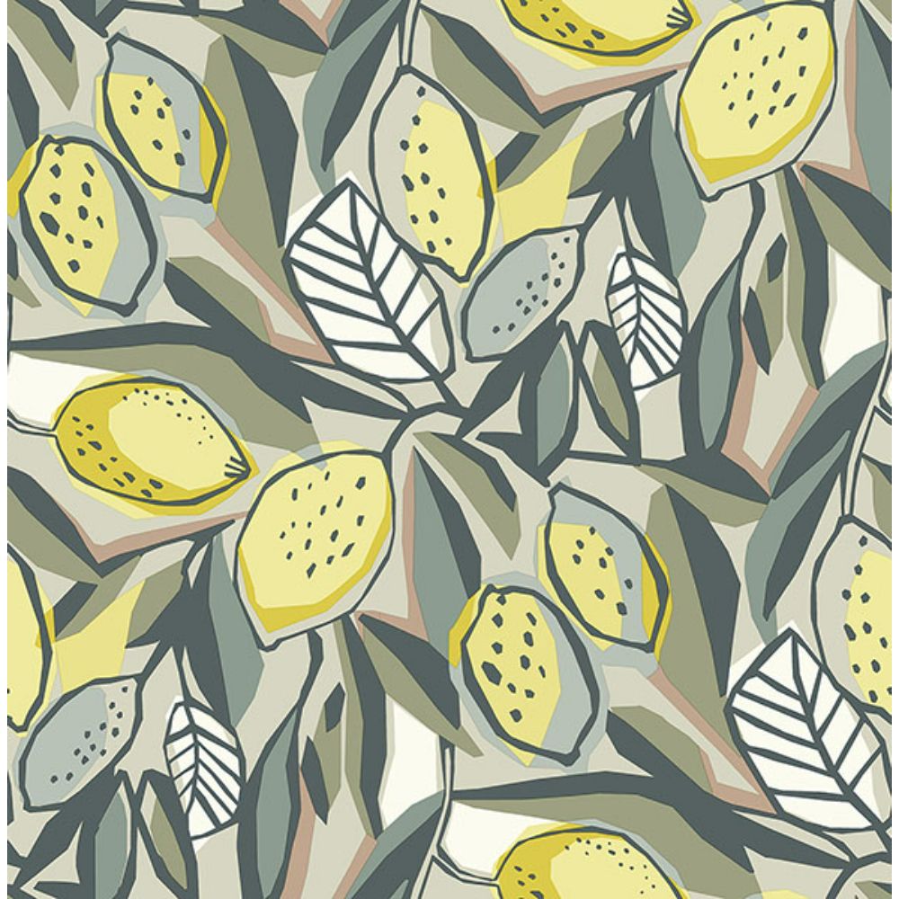 A-Street Prints by Brewster 4014-26418 Meyer Chartreuse Citrus Wallpaper