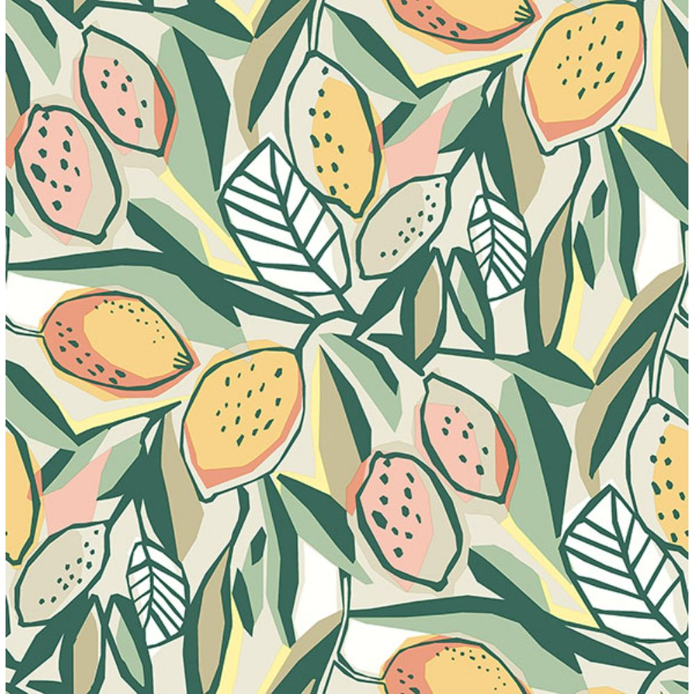 A-Street Prints by Brewster 4014-26419 Meyer Peach Citrus Wallpaper