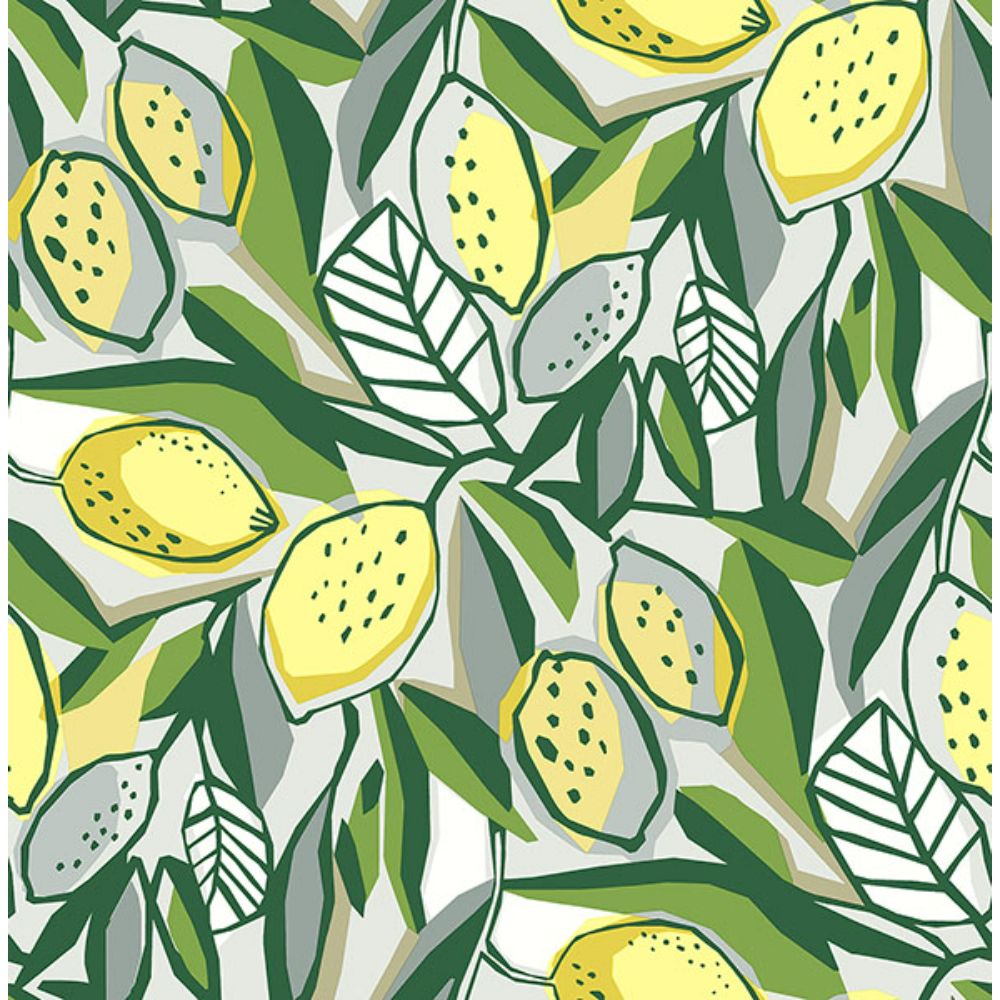 A-Street Prints by Brewster 4014-26420 Meyer Yellow Citrus Wallpaper