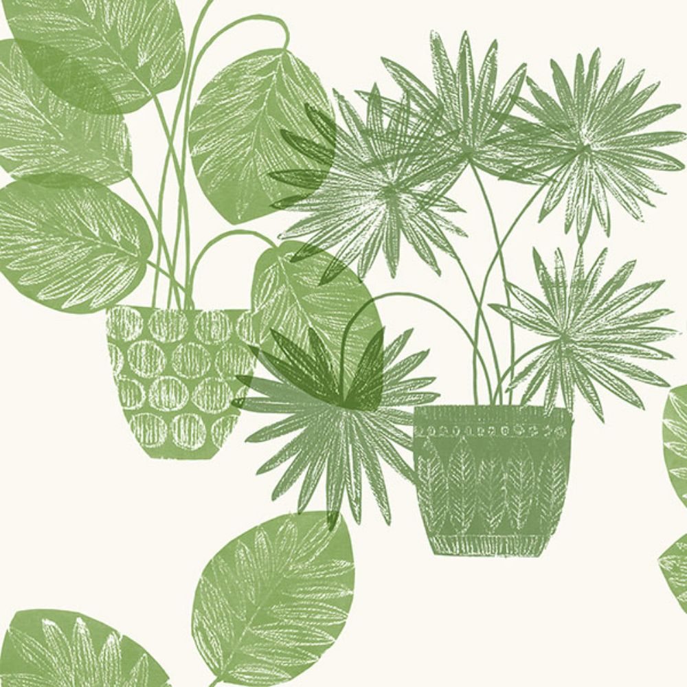 A-Street Prints by Brewster 4014-87558 Aida Green Potted Plant Wallpaper