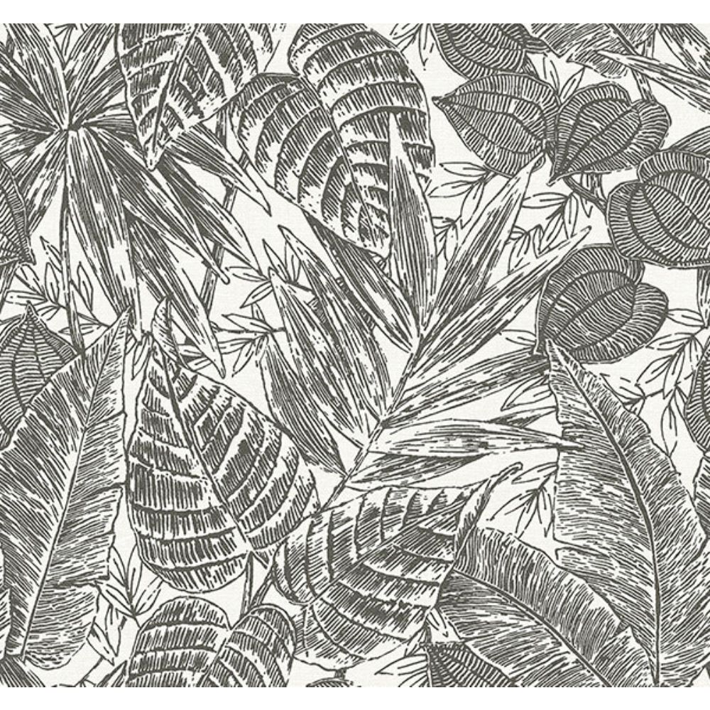 A-Street Prints by Brewster 4034-72115 Brentwood Black Palm Leaves Wallpaper by Scott Living