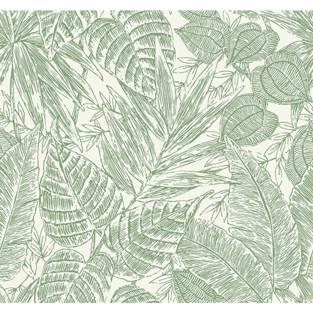 A-Street Prints by Brewster 4034-72116 Brentwood Green Palm Leaves Wallpaper by Scott Living