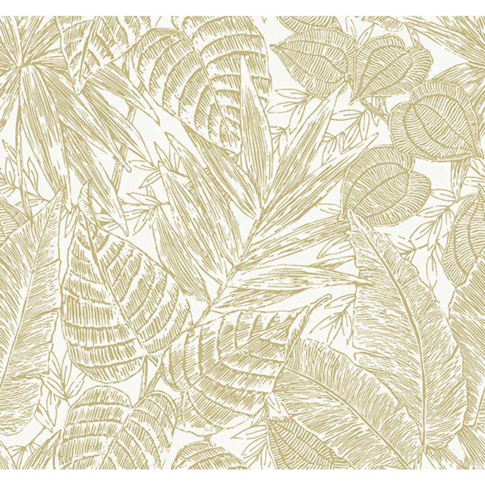 A-Street Prints by Brewster 4034-72117 Brentwood Yellow Palm Leaves Wallpaper by Scott Living