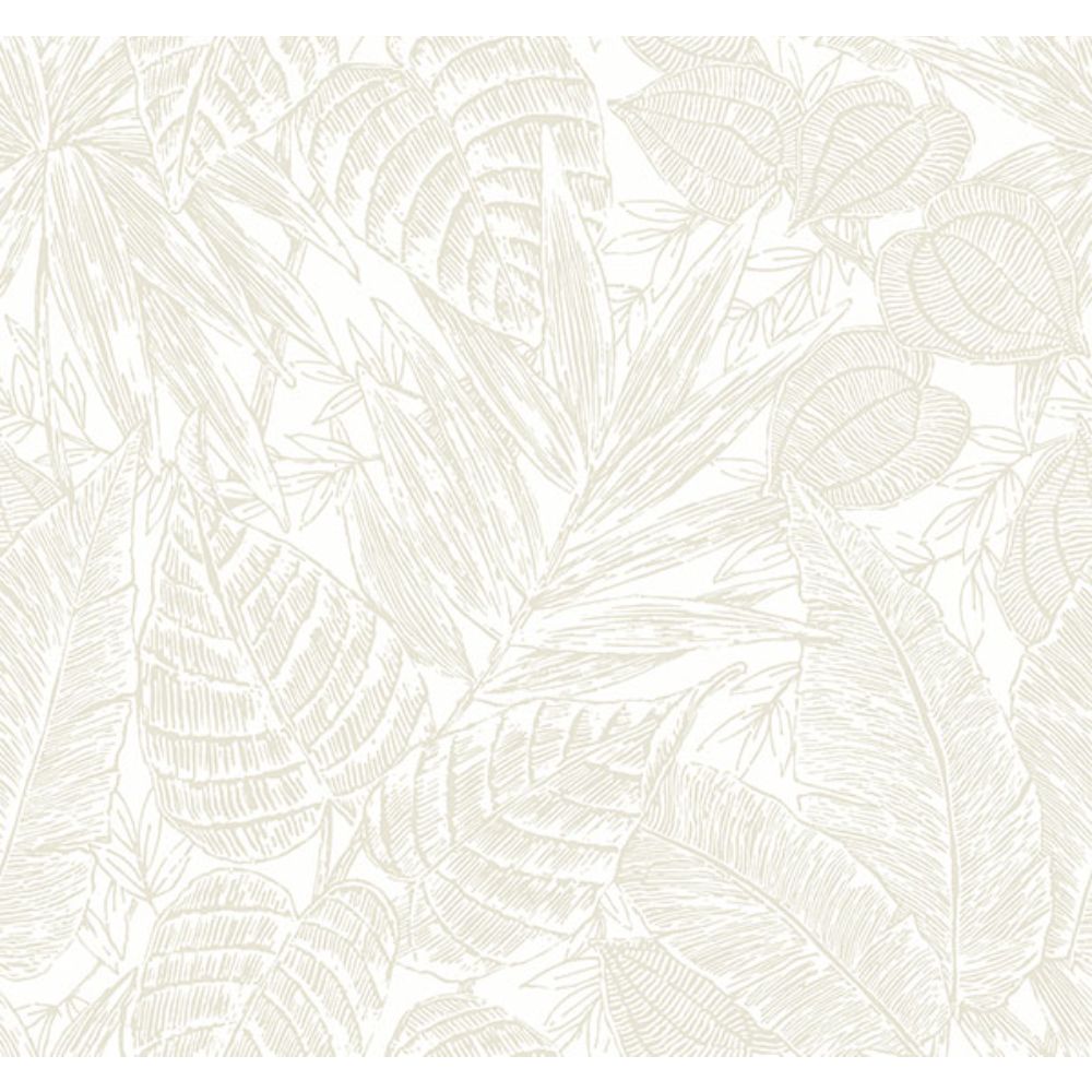 A-Street Prints by Brewster 4034-72118 Brentwood Bone Palm Leaves Wallpaper by Scott Living