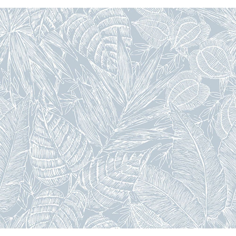 A-Street Prints by Brewster 4034-72119 Brentwood Sky Blue Palm Leaves Wallpaper by Scott Living