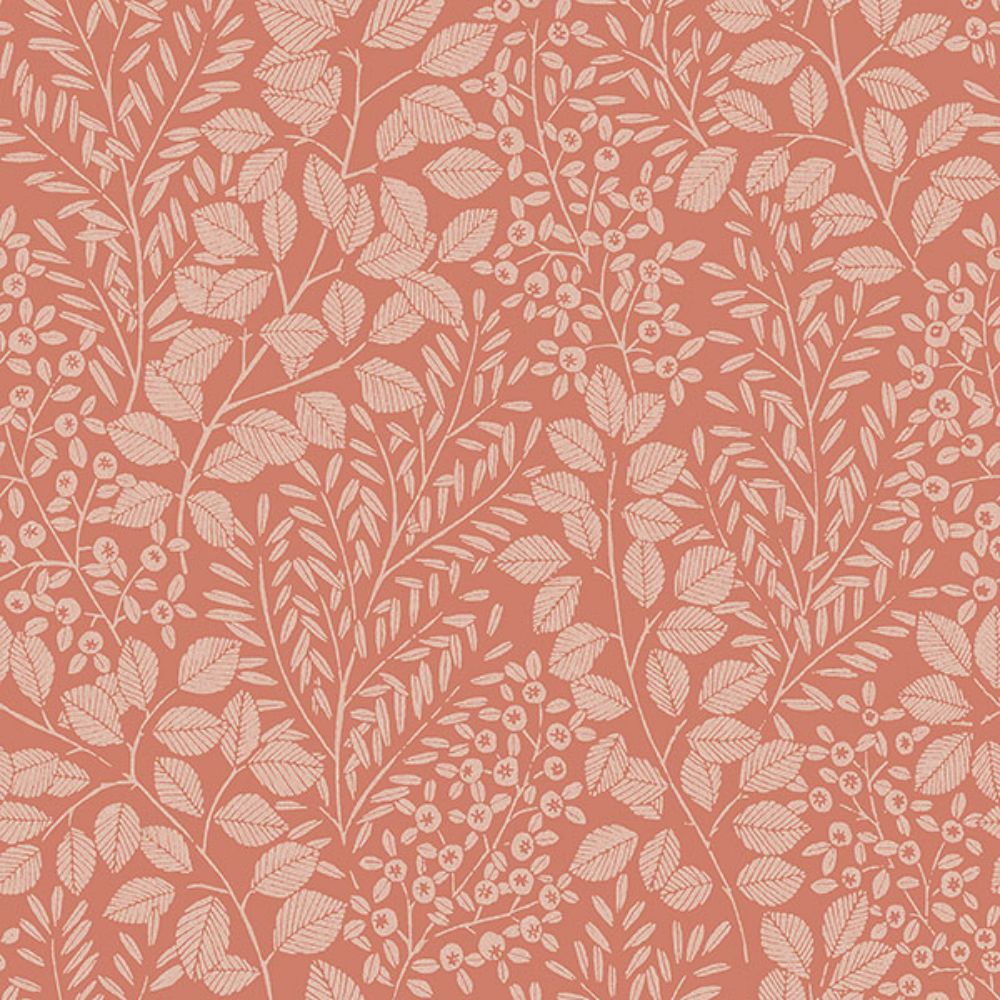 A-Street Prints by Brewster 4066-26516 Elin Coral Berry Botanical Wallpaper