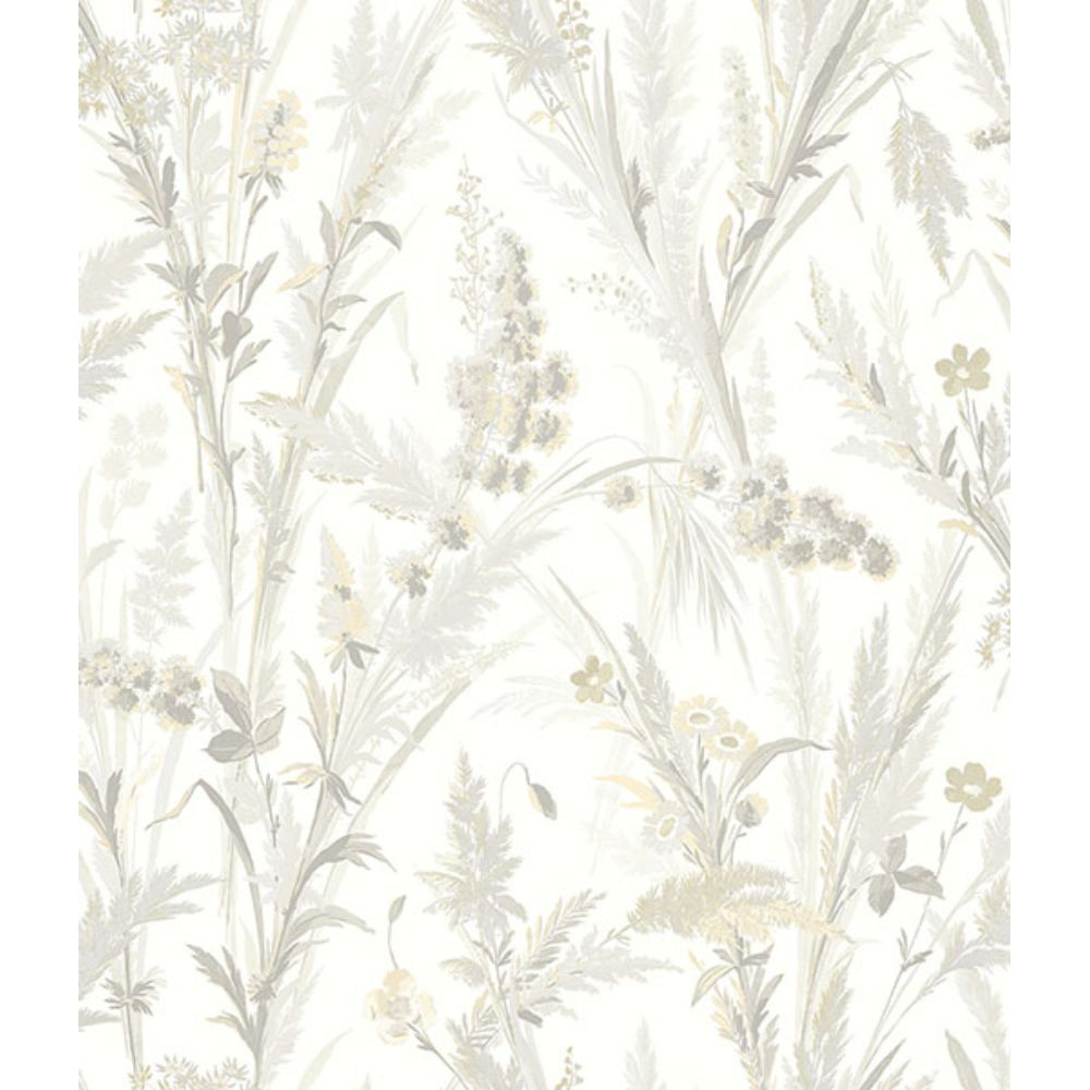 Chesapeake by Brewster 4072-70027 Hillaire Wheat Meadow Wallpaper