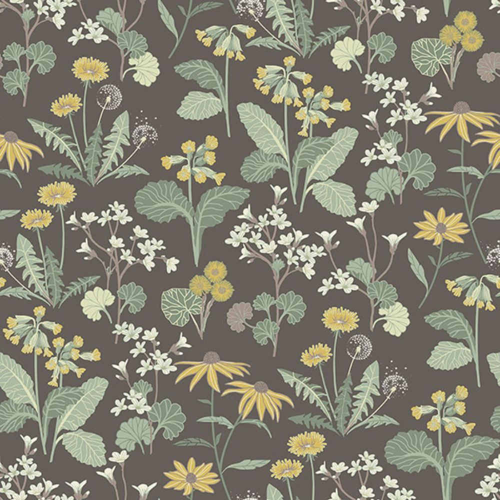A-Street Prints by Brewster 4080-92133 Magdalena Charcoal Dandelion Wallpaper