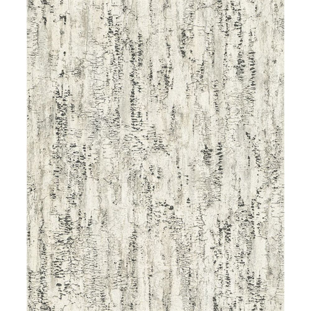 Advantage by Brewster 4096-554045 Colm Charcoal Birch Wallpaper