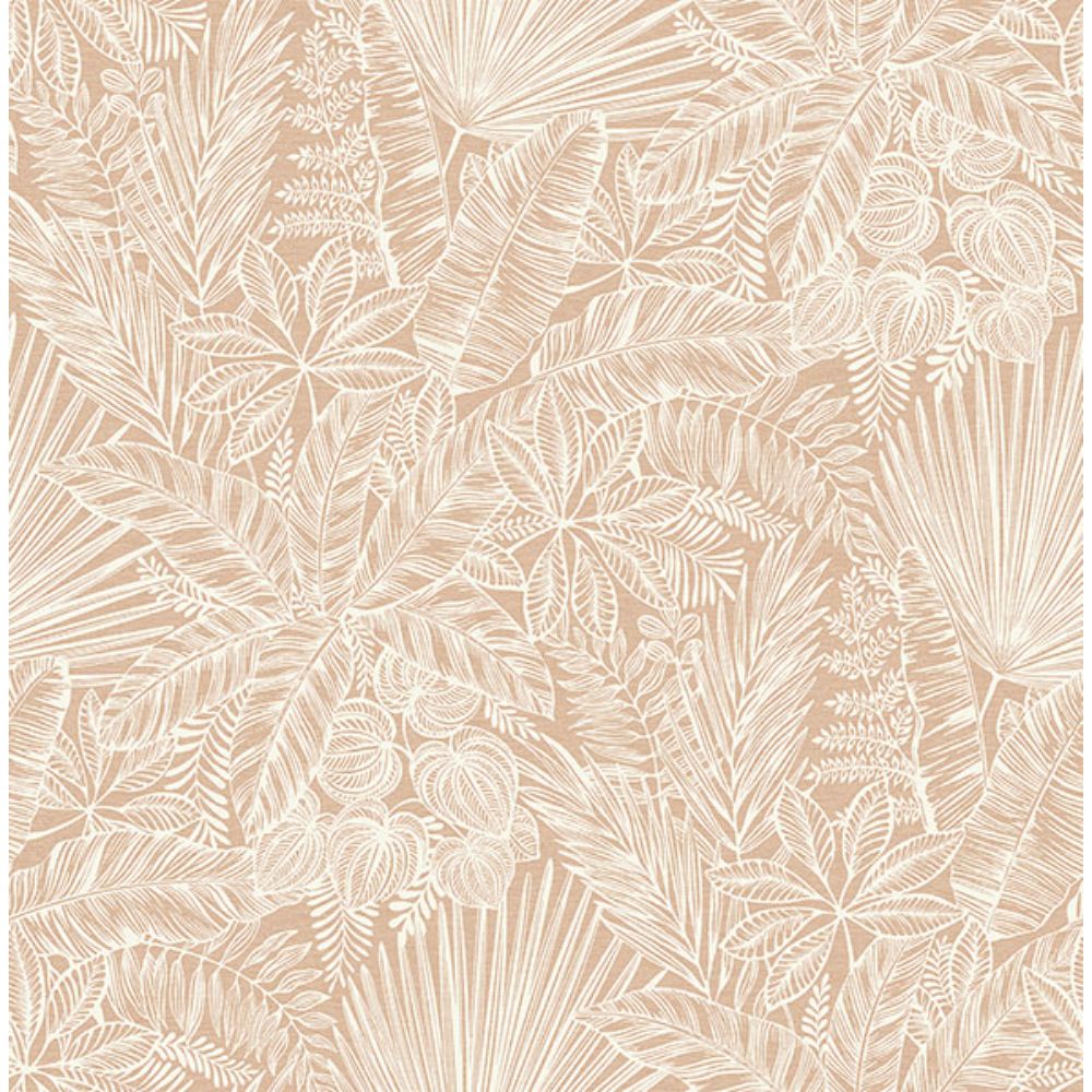 A-Street Prints by Brewster 4120-26801 Vita Blush Botanical Wallpaper