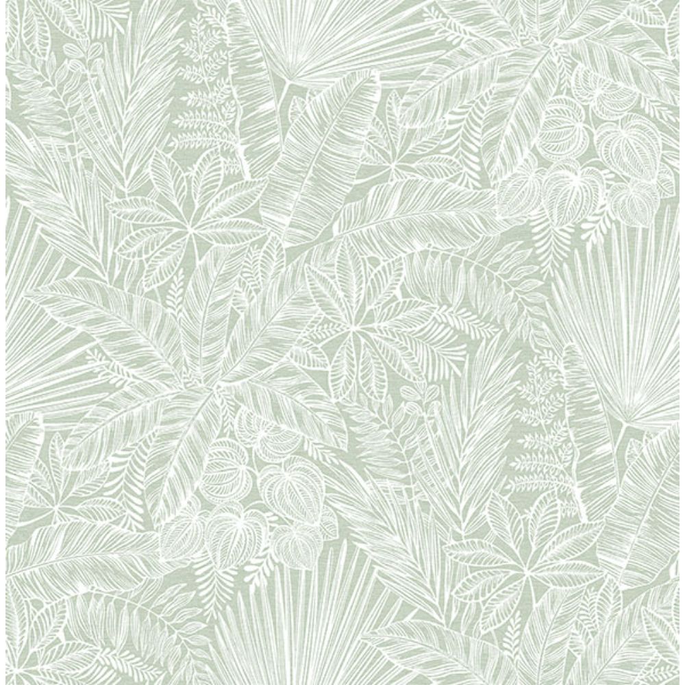 A-Street Prints by Brewster 4120-26803 Vita Sage Botanical Wallpaper