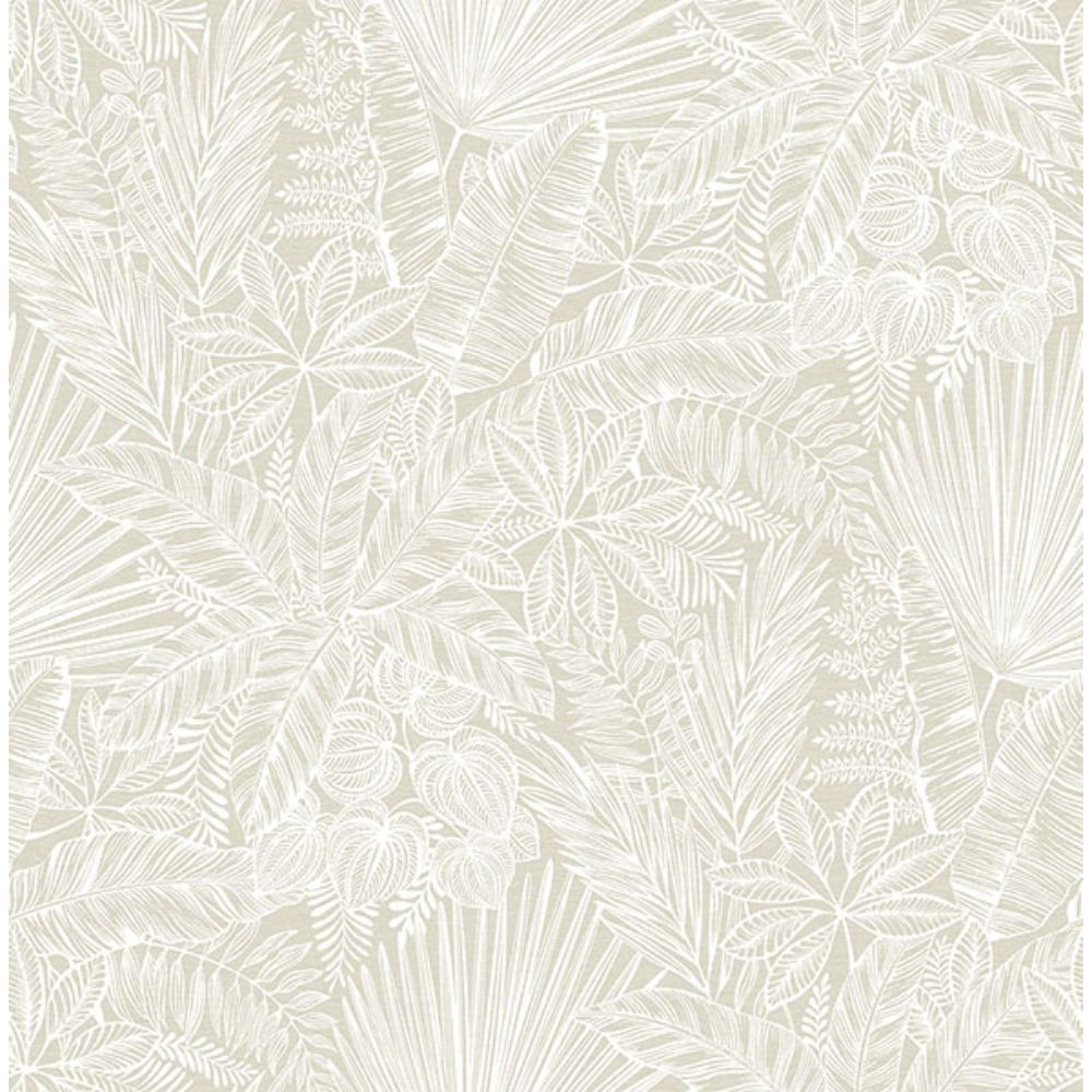 A-Street Prints by Brewster 4120-26805 Vita Off-White Botanical Wallpaper