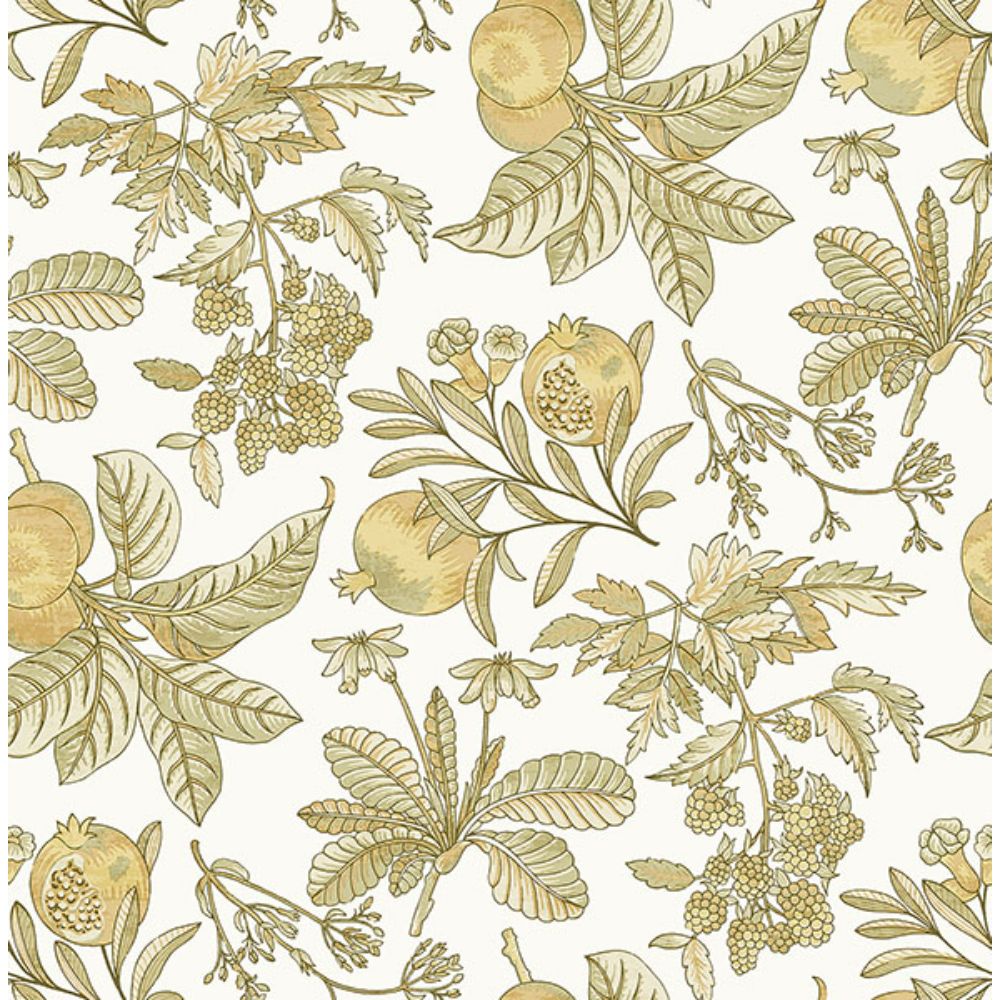 A-Street Prints by Brewster 4120-26813 Cecilia Honey Fruit Wallpaper