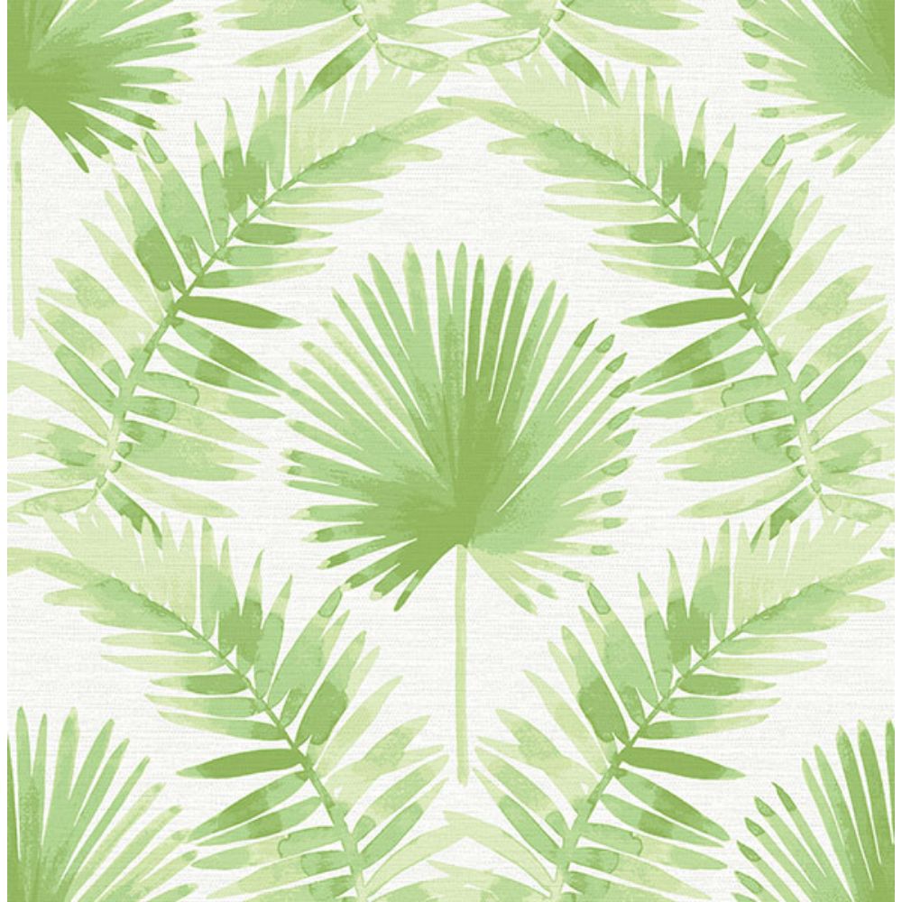 A-Street Prints by Brewster 4121-26911 Calla Green Painted Palm Wallpaper
