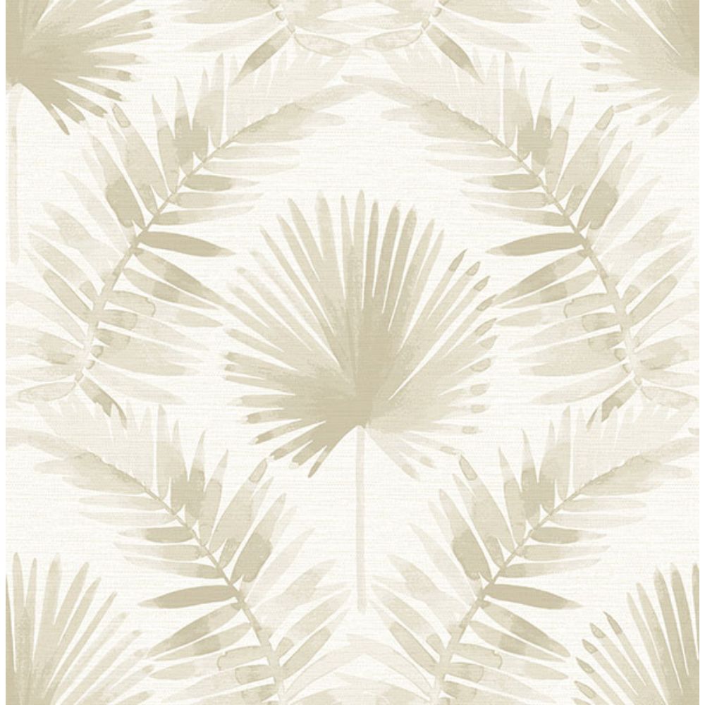 A-Street Prints by Brewster 4121-26913 Calla Taupe Painted Palm Wallpaper