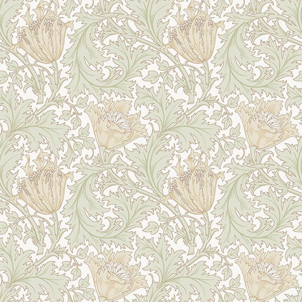 A-Street Prints by Brewster 4153-82002 Anemone Light Green Floral Trail Wallpaper
