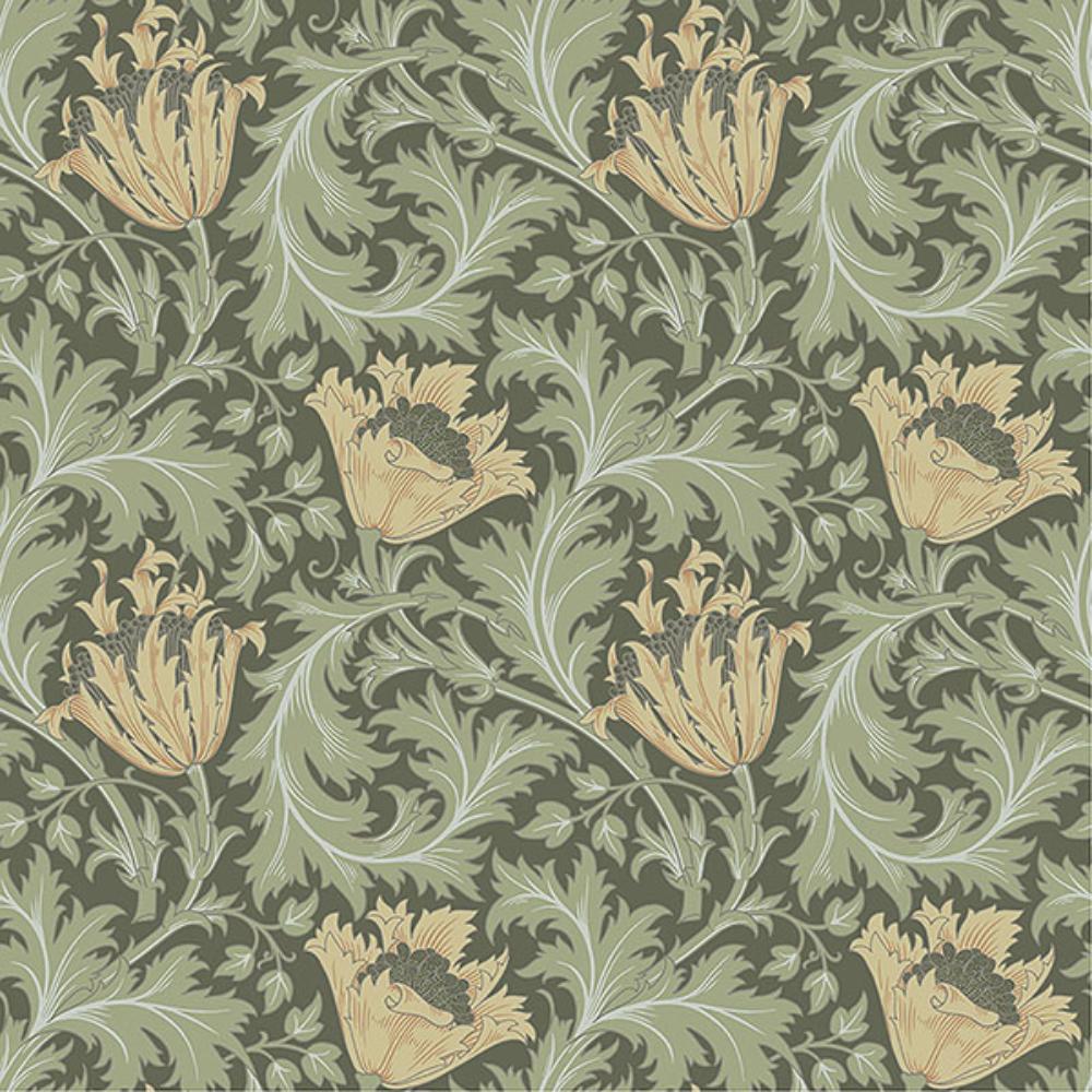A-Street Prints by Brewster 4153-82004 Anemone Moss Floral Trail Wallpaper