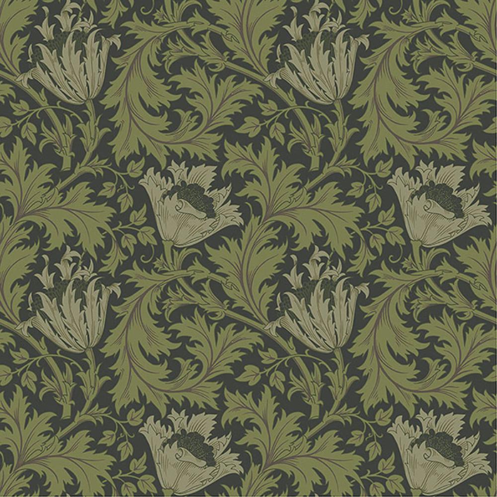 A-Street Prints by Brewster 4153-82005 Anemone Dark Green Floral Trail Wallpaper