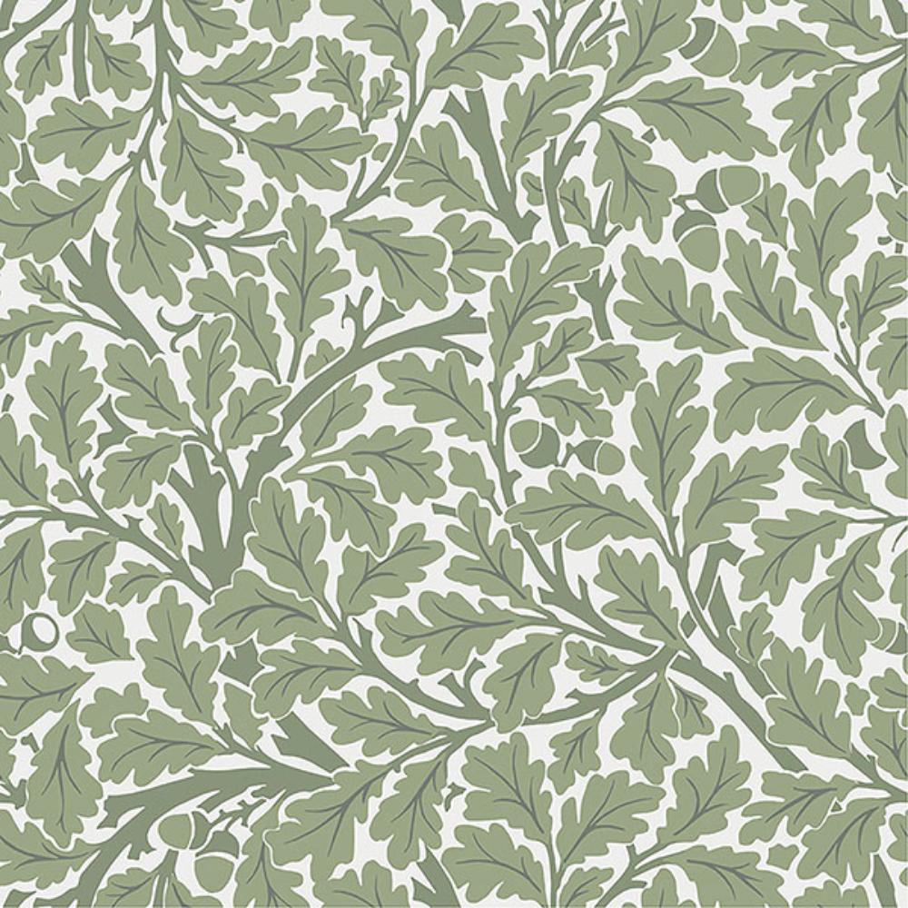 A-Street Prints by Brewster 4153-82028 Oak Tree Green Leaf Wallpaper