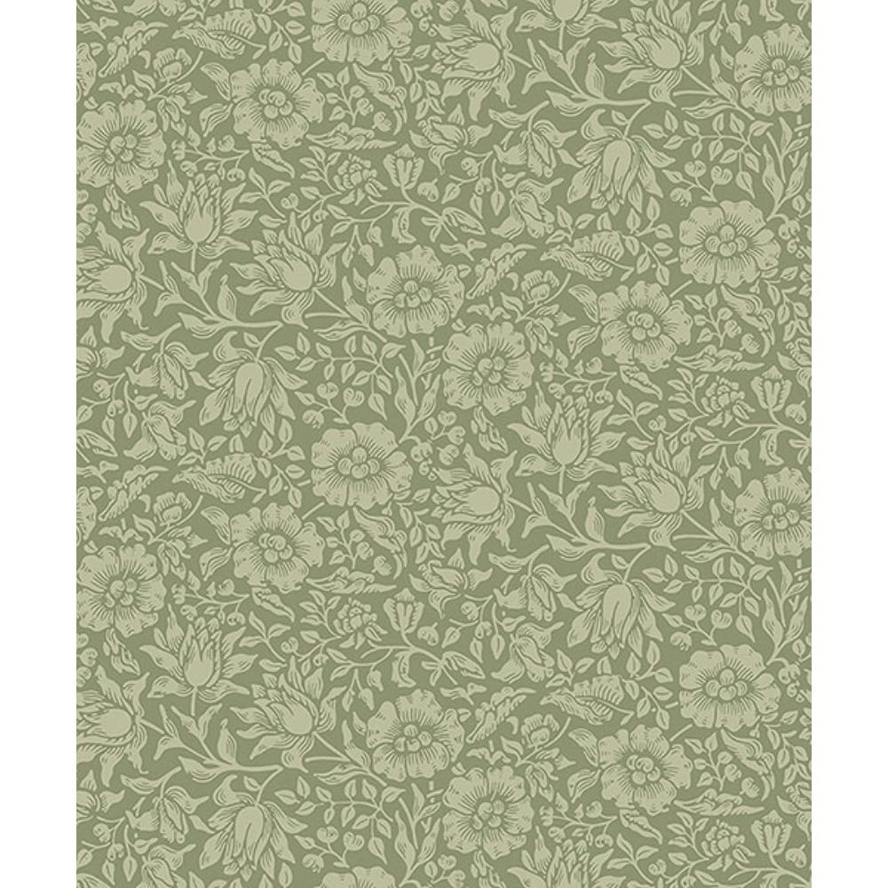 A-Street Prints by Brewster 4153-82041 Mallow Green Floral Vine Wallpaper