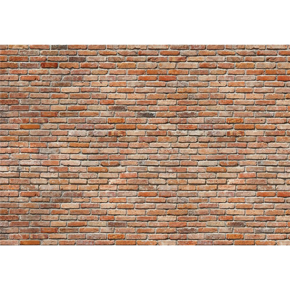 Komar by Brewster 8-741 Brick Wall Wall Mural