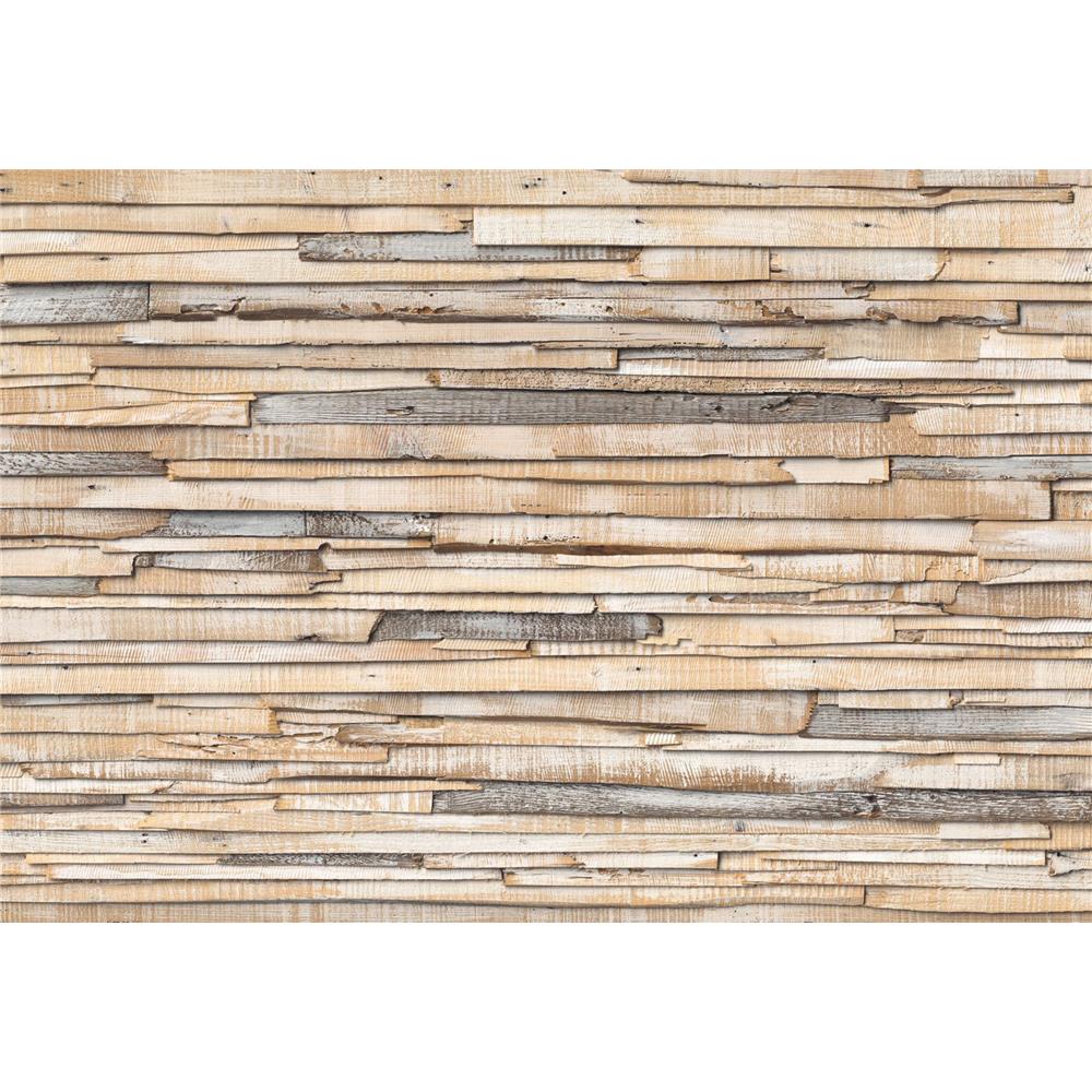 Komar by Brewster 8-920 Whitewashed Wood Wall Mural