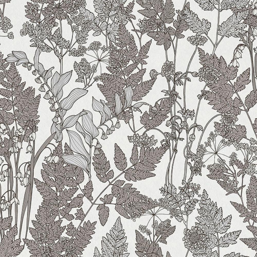 AS Creation by Brewster AS377521 Ayla Light Grey Wildflowers Wallpaper