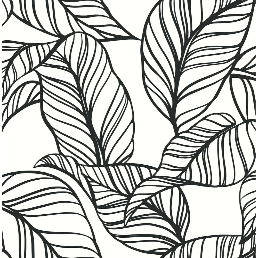 A-Street Prints by Brewster AST3786 Kagan Black Large Leaf Wallpaper