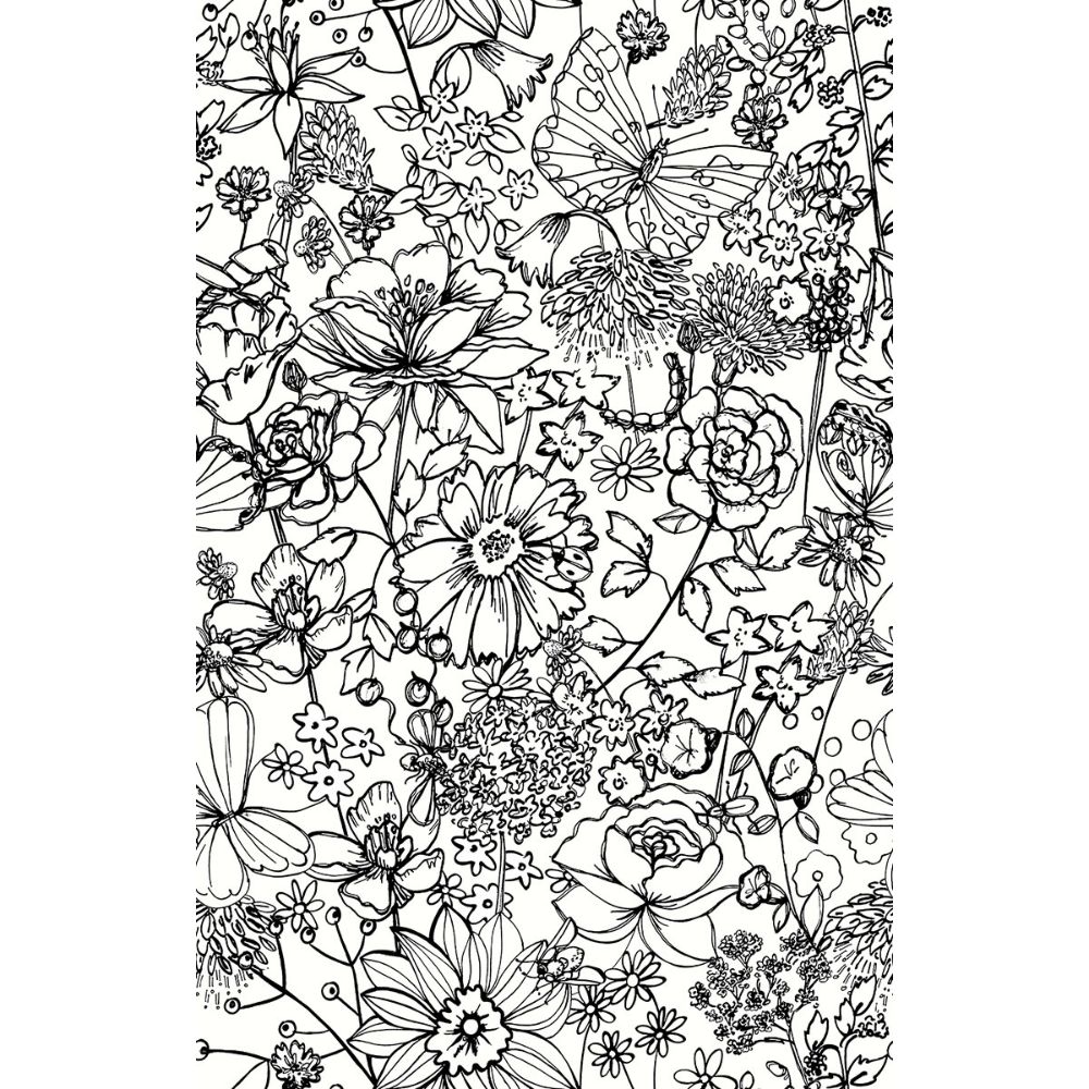 A-Street Prints by Brewster AST3789 Daley Black Line Floral Wallpaper