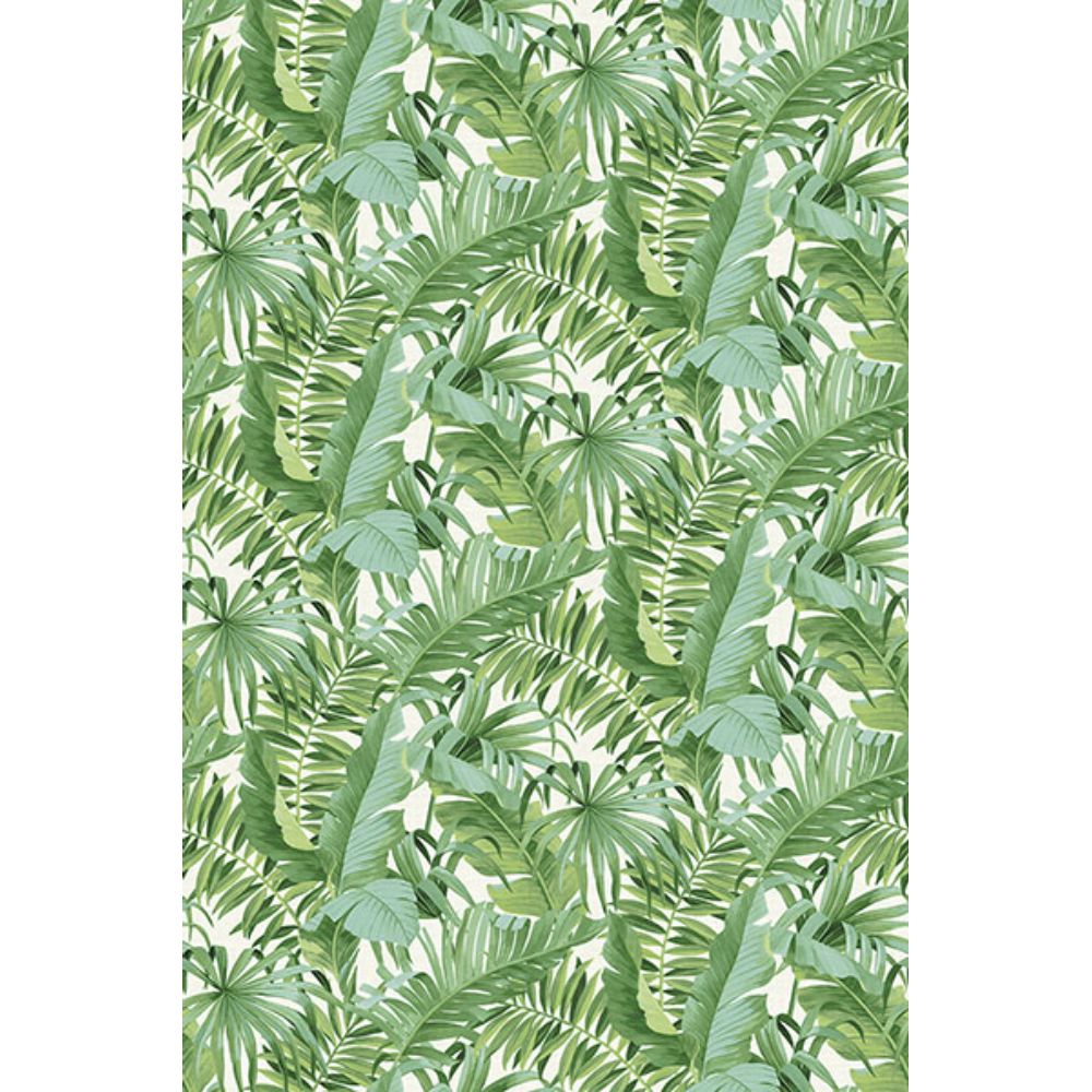 Katie Hunt x A-Street Prints by Brewster ASTM5047 Tropical Palm Leaf Green Wall Mural