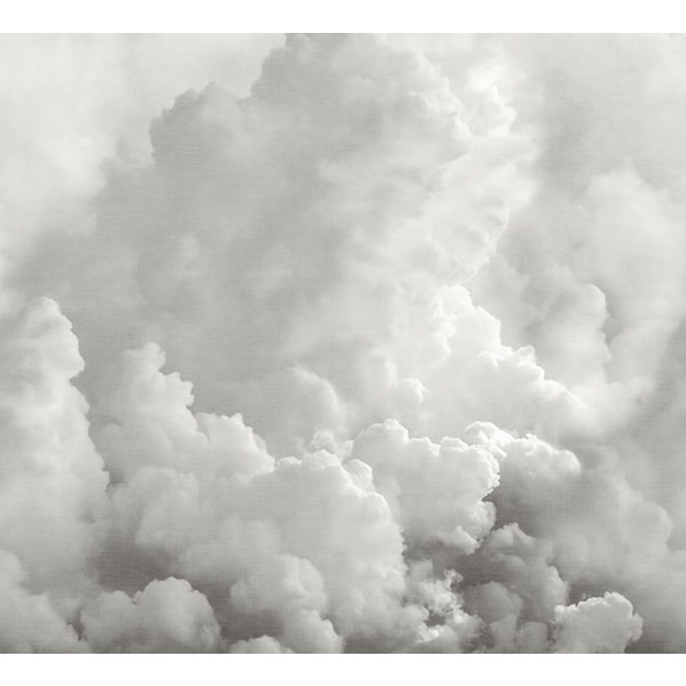 Katie Hunt x A-Street Prints by Brewster ASTM5054 In the Clouds Dove Grey Wall Mural