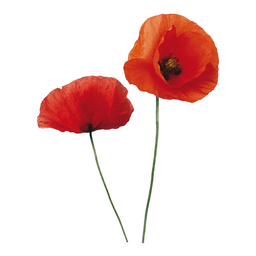 Home Decor Line by Brewster CR-57105 Home Decor Line Poppies Wall Decals