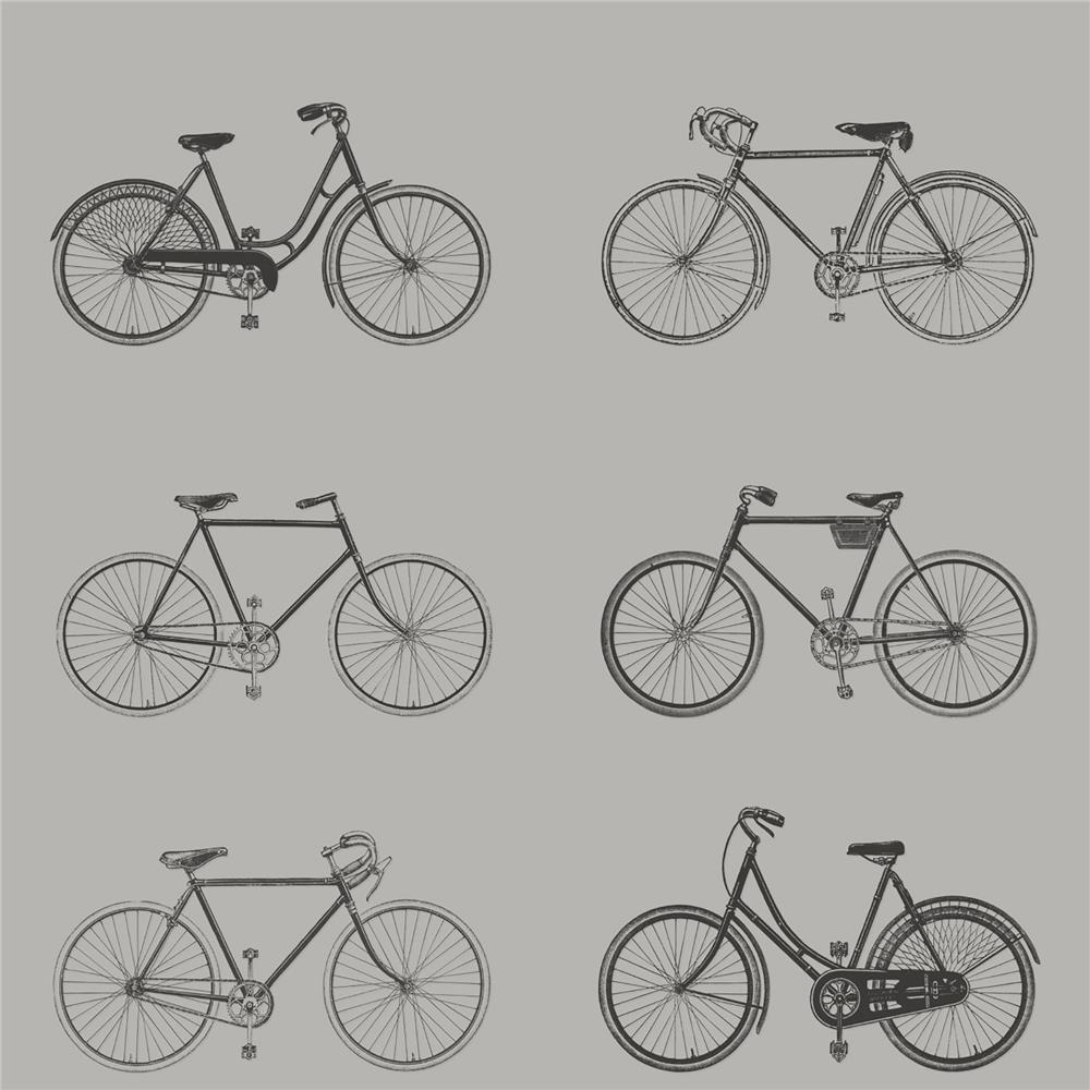 Brewster DD128502 Design Department Turnblad Grey Bicycle Wallpaper