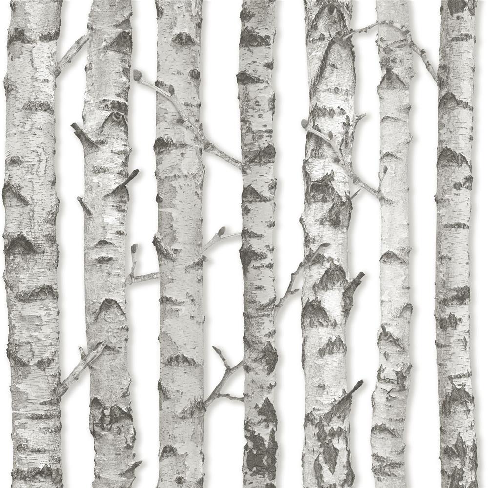 Brewster DD138889 Design Department Merman Light Grey Birch Tree Wallpaper