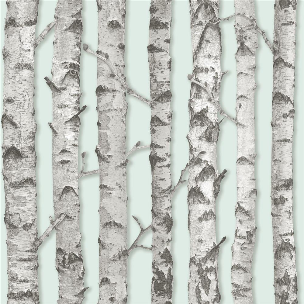 Brewster DD138890 Design Department Merman Mint Birch Tree Wallpaper