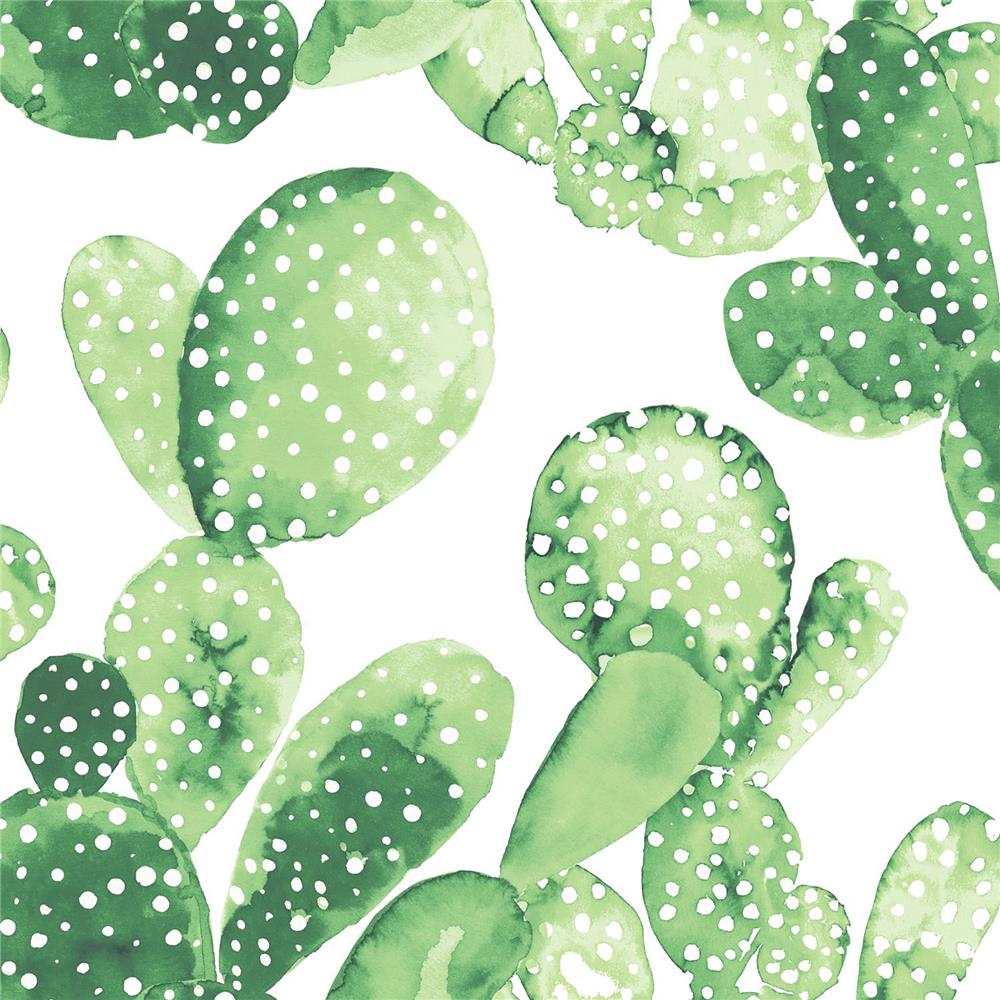 Brewster DD138902 Design Department Mimi Green Cactus Wallpaper