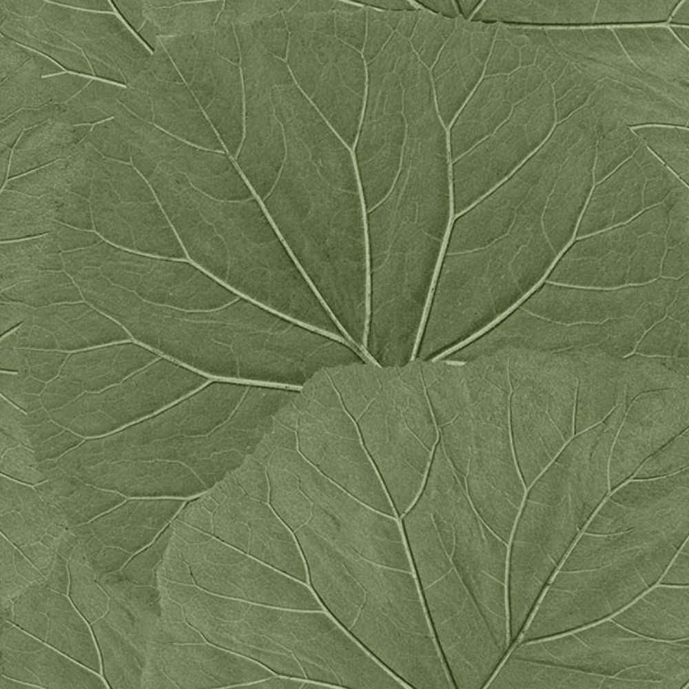 ESTA Home by Brewster DD138995 Xylem Olive Large Leaves Wallpaper