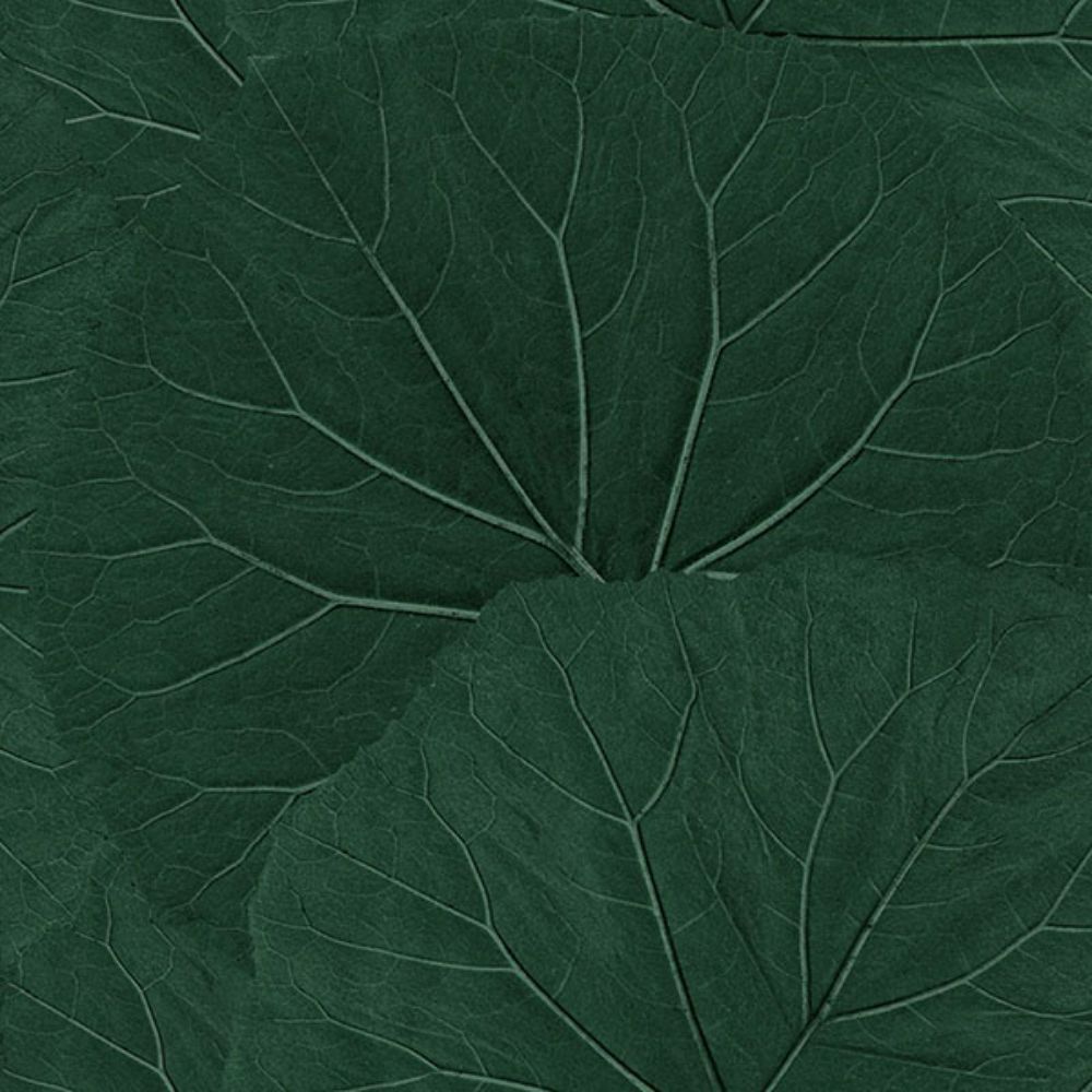 ESTA Home by Brewster DD138997 Xylem Evergreen Large Leaves Wallpaper