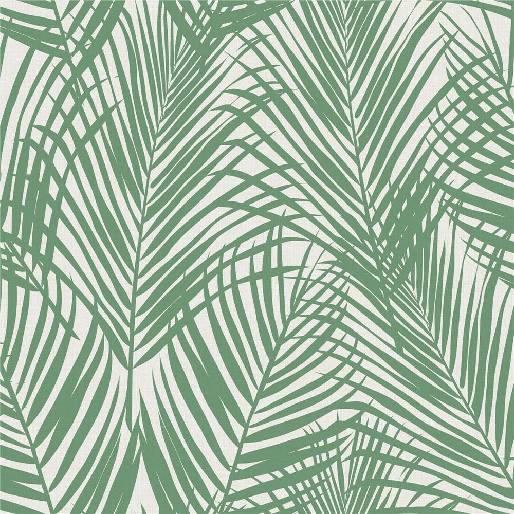 Brewster DD139007 Design Department Fifi Green Palm Frond Wallpaper