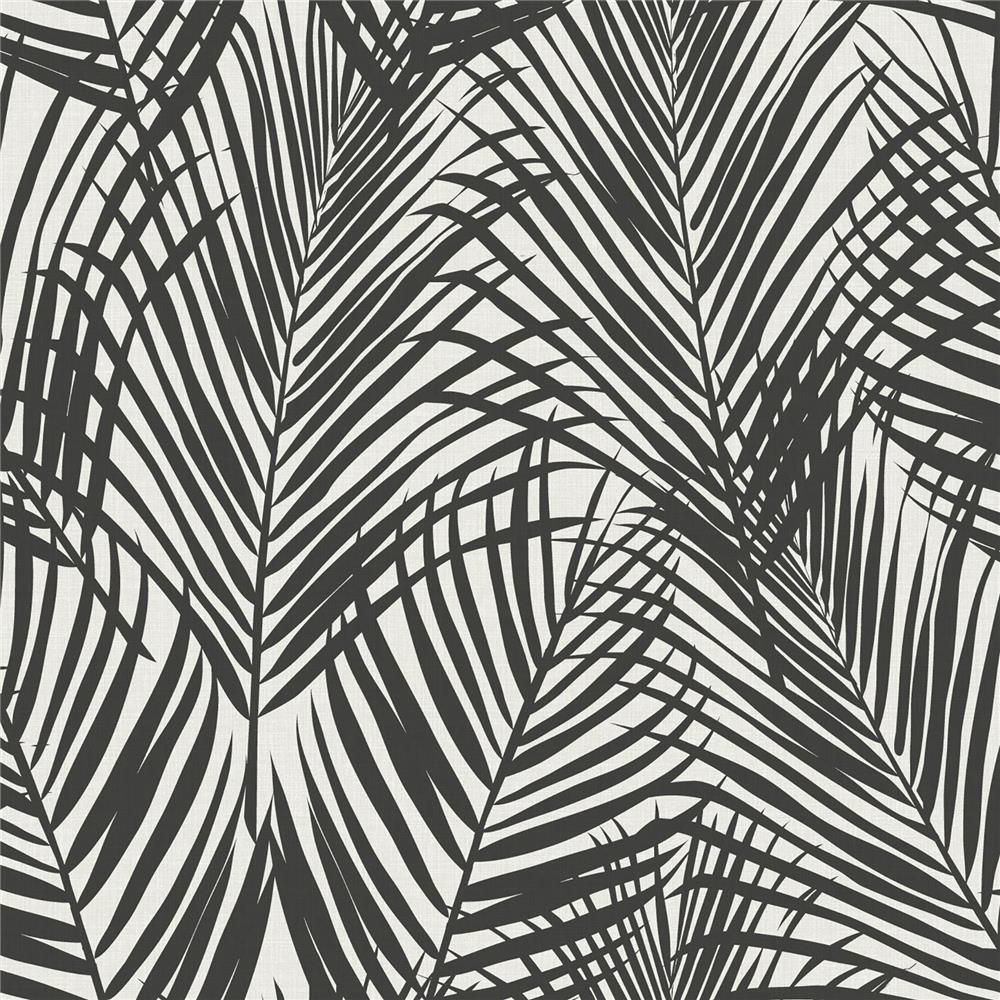 Brewster DD139008 Design Department Fifi Black Palm Frond Wallpaper