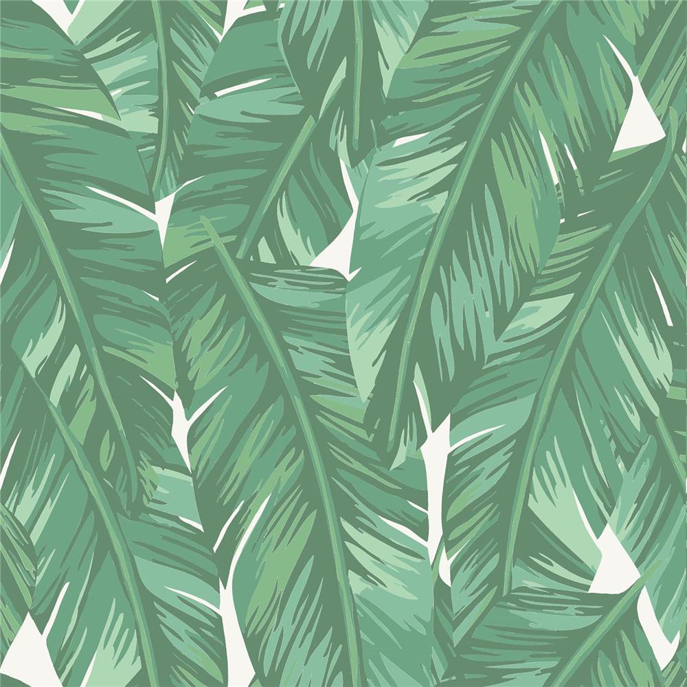Brewster DD139014 Design Department Dumott Green Tropical Leaves Wallpaper