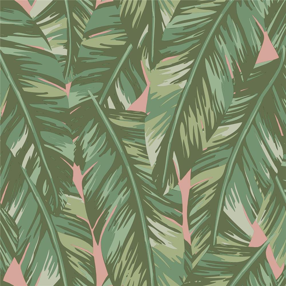 Brewster DD139015 Design Department Dumott Olive Tropical Leaves Wallpaper