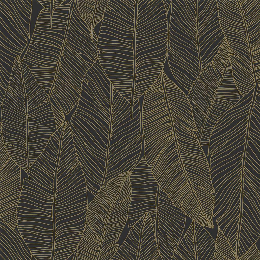 ESTA Home by Brewster DD139126 Design Department Canales Black Gold Inked Leaves Wallpaper in Black