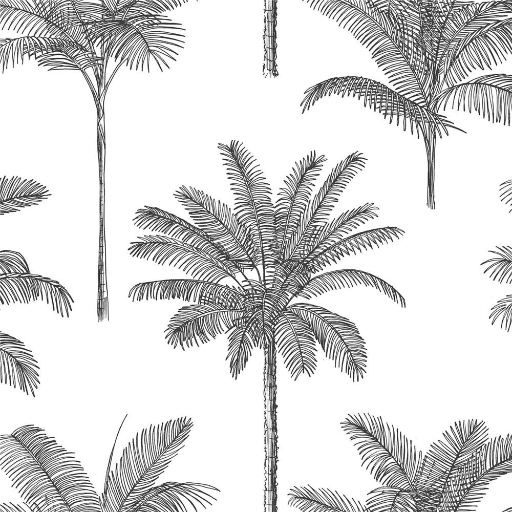 ESTA Home by Brewster DD139162 Design Department Taj Charcoal Palm Trees Wallpaper in Charcoal