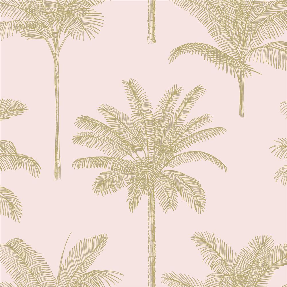 ESTA Home by Brewster DD139164 Design Department Taj Blush Palm Trees Wallpaper in Blush