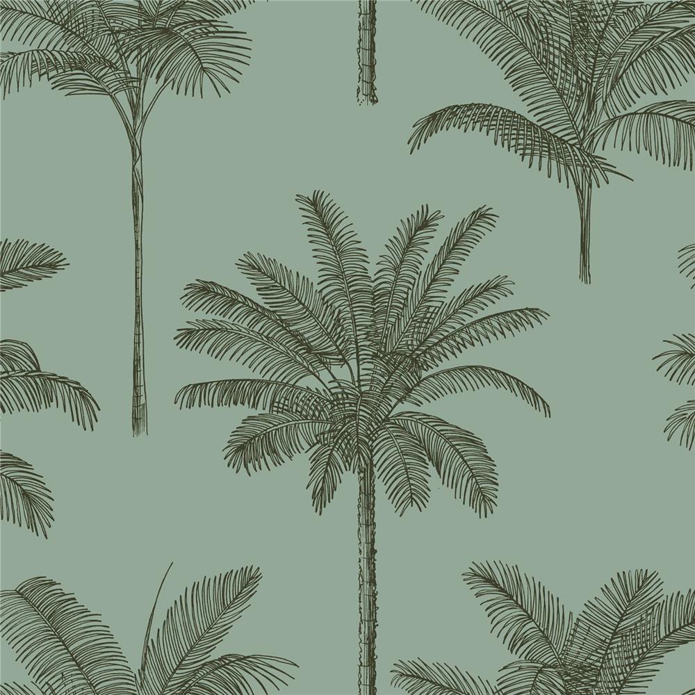 ESTA Home by Brewster DD139165 Design Department Taj Sage Palm Trees Wallpaper in Sage